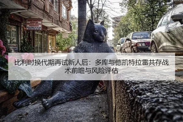 比利时换代期再试新人后：多库与德凯特拉雷共存战术前瞻与风险评估